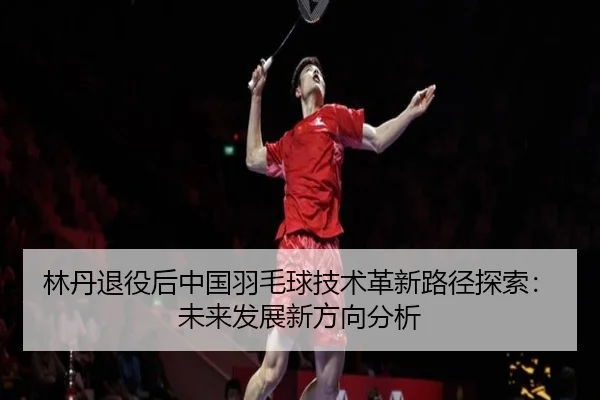 lin-dan-tui-yi-hou-zhong-guo-yu-mao-qiu-ji-shu-ge-xin-lu-jing-tan-suo-wei-lai-fa-zhan-xin-fang-xiang-fen-xi-2-660.jpg